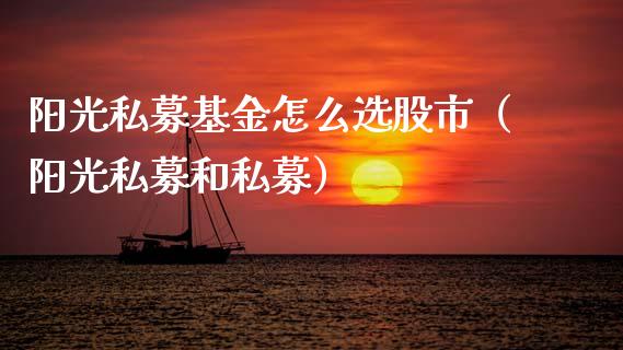 阳光私募基金怎么选股市（阳光私募和私募）_https://www.qdlswl.com_理财_第1张