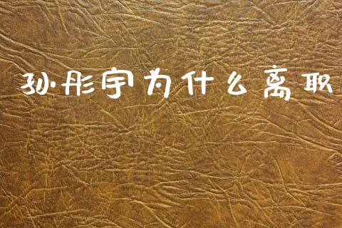 孙彤宇为什么离职_https://www.qdlswl.com_内盘_第1张