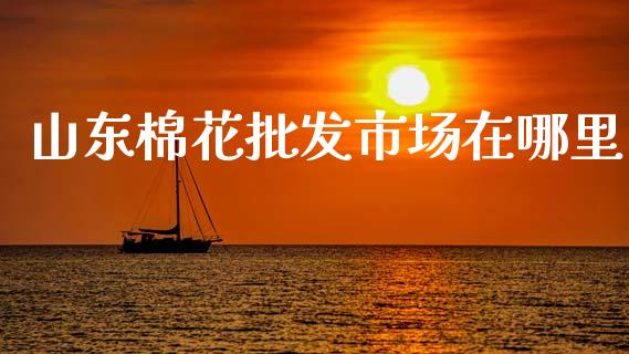 山东棉花批发市场在哪里_https://www.qdlswl.com_股指_第1张