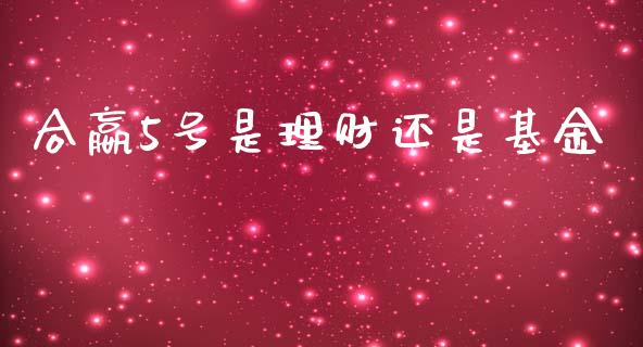 合嬴5号是理财还是基金_https://www.qdlswl.com_基金_第1张
