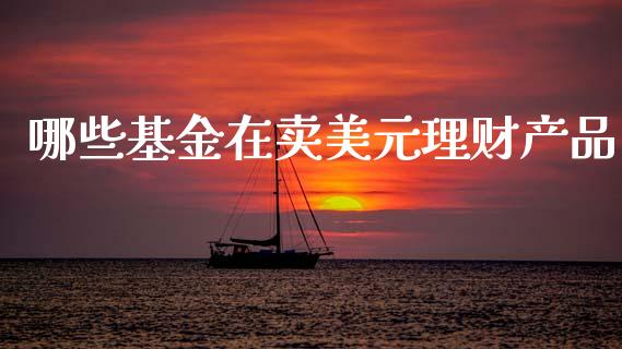 哪些基金在卖美元理财产品_https://www.qdlswl.com_理财_第1张