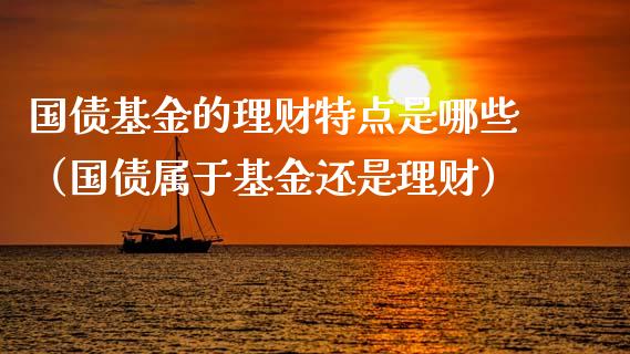 国债基金的理财特点是哪些（国债属于基金还是理财）_https://www.qdlswl.com_理财_第1张