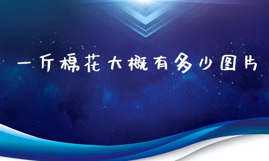 一斤棉花大概有多少图片_https://www.qdlswl.com_期货_第1张