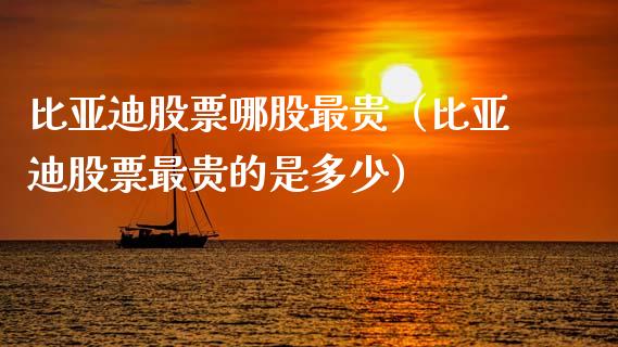 比亚迪股票哪股最贵（比亚迪股票最贵的是多少）_https://www.qdlswl.com_内盘_第1张