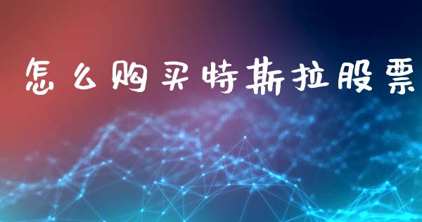 怎么购买特斯拉股票_https://www.qdlswl.com_内盘_第1张