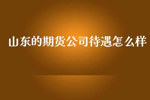 山东的期货公司待遇怎么样_https://www.qdlswl.com_期货_第1张