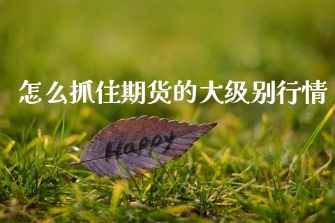 怎么抓住期货的大级别行情_https://www.qdlswl.com_股指_第1张