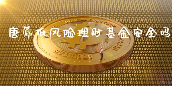 唐筛低风险理财基金安全吗_https://www.qdlswl.com_理财_第1张