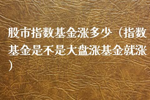 股市指数基金涨多少（指数基金是不是大盘涨基金就涨）_https://www.qdlswl.com_理财_第1张