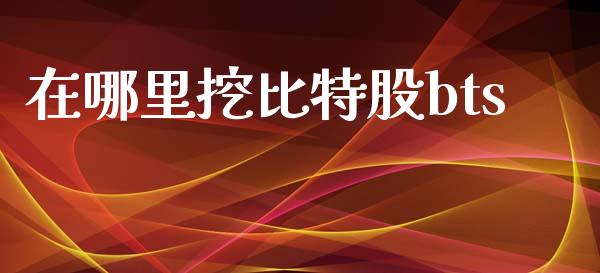 在哪里挖比特股bts_https://www.qdlswl.com_股指_第1张