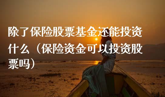 除了保险股票基金还能投资什么（保险资金可以投资股票吗）_https://www.qdlswl.com_基金_第1张