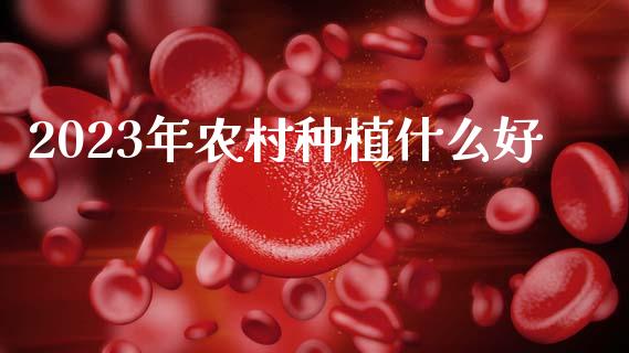 2023年农村种植什么好_https://www.qdlswl.com_期货_第1张