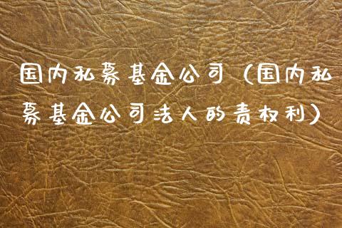 国内私募基金公司（国内私募基金公司法人的责权利）_https://www.qdlswl.com_基金_第1张
