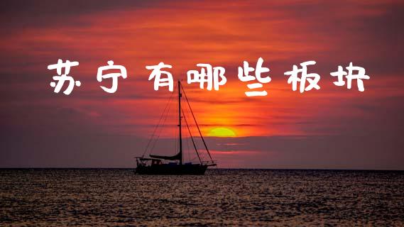 苏宁有哪些板块_直播_第1张_青岛财经网 苏宁有哪些板块_https://www.qdlswl.com_直播_第1张