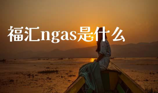 福汇ngas是什么_https://www.qdlswl.com_基金_第1张