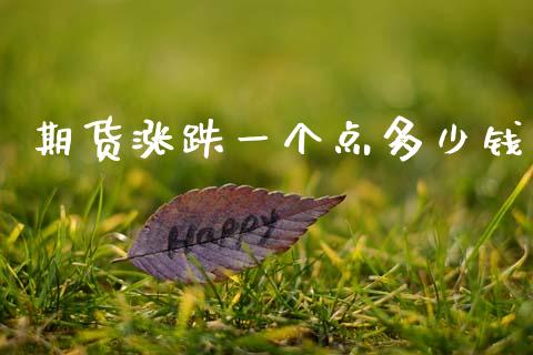 期货涨跌一个点多少钱_https://www.qdlswl.com_直播_第1张