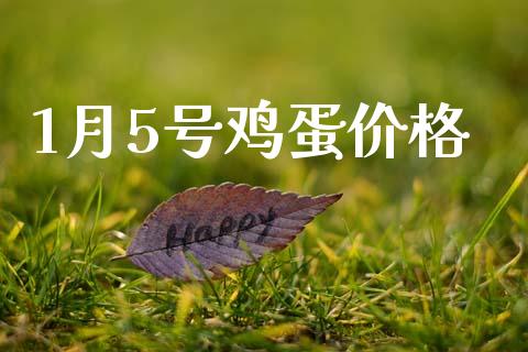 1月5号鸡蛋价格_https://www.qdlswl.com_期货_第1张