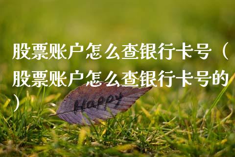 股票账户怎么查银行卡号（股票账户怎么查银行卡号的）_https://www.qdlswl.com_外盘_第1张