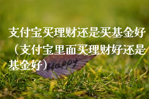 支付宝买理财还是买基金好（支付宝里面买理财好还是基金好）_https://www.qdlswl.com_理财_第1张