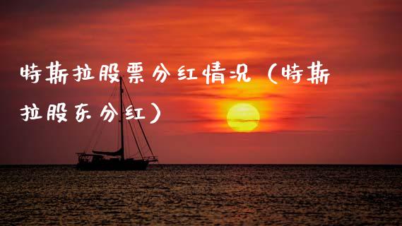 特斯拉股票分红情况（特斯拉股东分红）_https://www.qdlswl.com_外盘_第1张