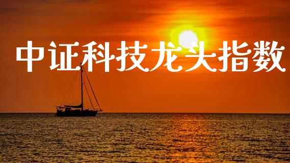 中证科技龙头指数_https://www.qdlswl.com_股指_第1张