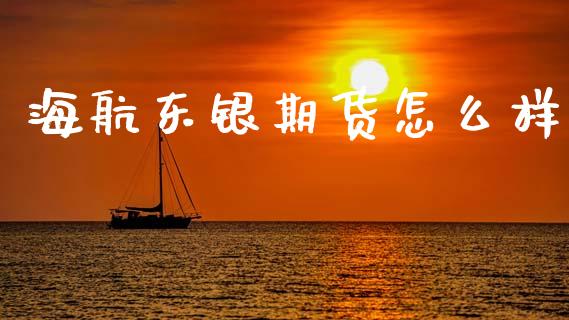 海航东银期货怎么样_https://www.qdlswl.com_期货_第1张