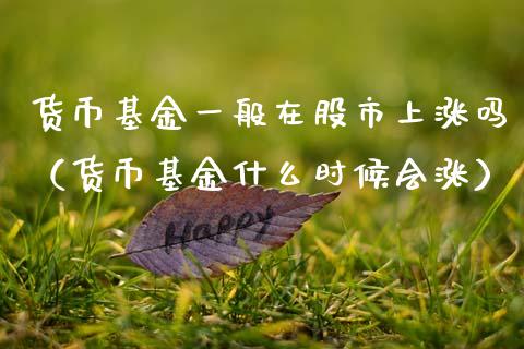 货币基金一般在股市上涨吗（货币基金什么时候会涨）_https://www.qdlswl.com_基金_第1张