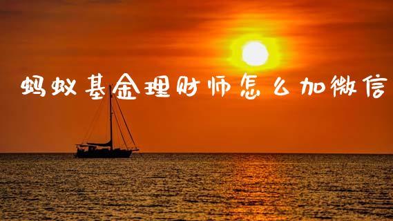 蚂蚁基金理财师怎么加微信_https://www.qdlswl.com_理财_第1张
