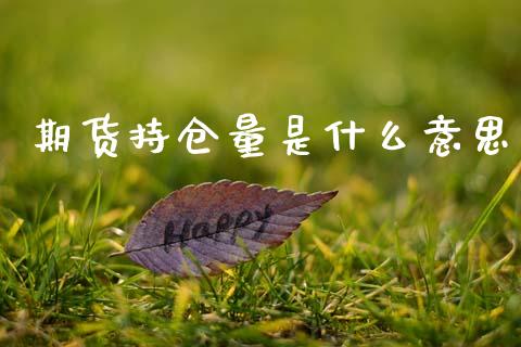 期货持仓量是什么意思_https://www.qdlswl.com_期货_第1张