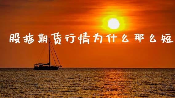 股指期货行情为什么那么短_https://www.qdlswl.com_期货_第1张