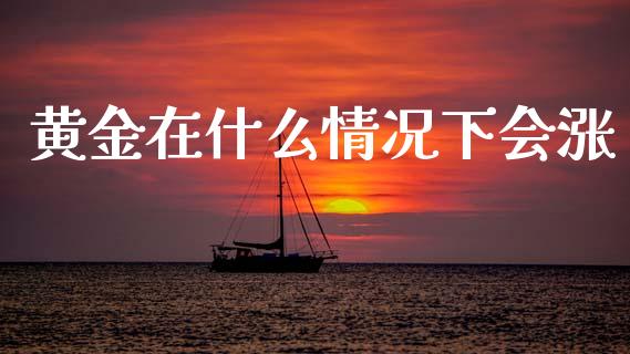 黄金在什么情况下会涨_https://www.qdlswl.com_直播_第1张