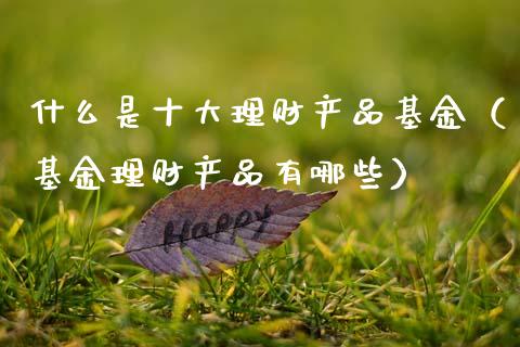 什么是十大理财产品基金（基金理财产品有哪些）_https://www.qdlswl.com_基金_第1张