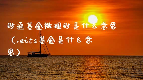 财通基金微理财是什么意思（reits基金是什么意思）_https://www.qdlswl.com_理财_第1张