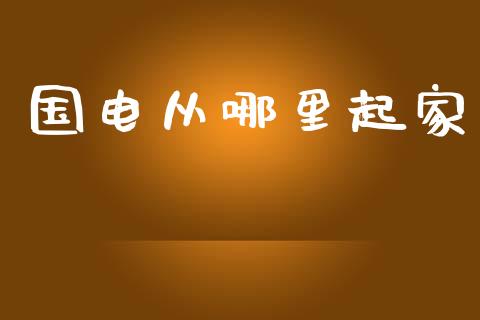 国电从哪里起家_https://www.qdlswl.com_股票_第1张