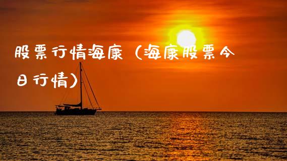 股票行情海康（海康股票今日行情）_https://www.qdlswl.com_外盘_第1张