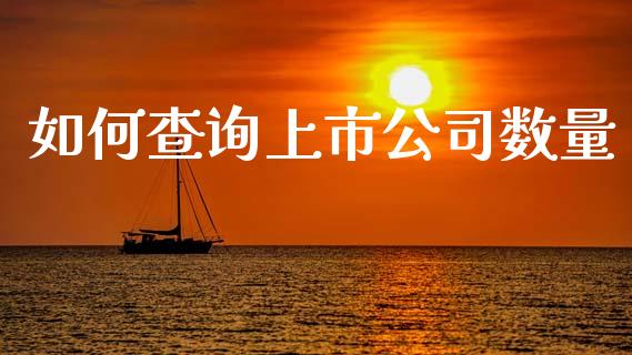 如何查询上市公司数量_https://www.qdlswl.com_期货_第1张