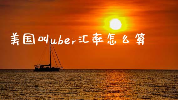 美国叫uber汇率怎么算_https://www.qdlswl.com_期货_第1张