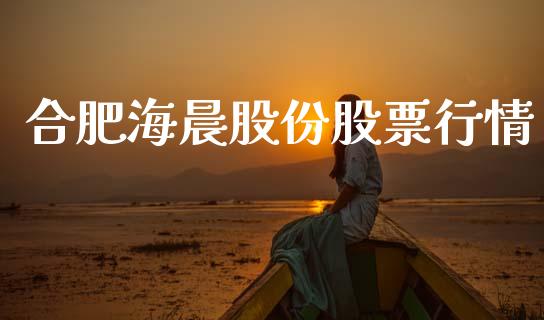 合肥海晨股份股票行情_https://www.qdlswl.com_股票_第1张