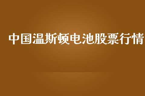 中国温斯顿电池股票行情_https://www.qdlswl.com_股票_第1张