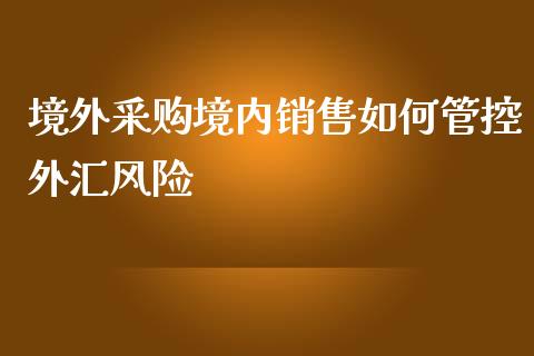 境外采购境内销售如何管控外汇风险_https://www.qdlswl.com_期货_第1张