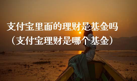 支付宝里面的理财是基金吗（支付宝理财是哪个基金）_https://www.qdlswl.com_理财_第1张