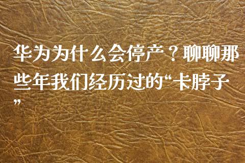 华为为什么会停产？聊聊那些年我们经历过的“卡脖子”_https://www.qdlswl.com_外盘_第1张