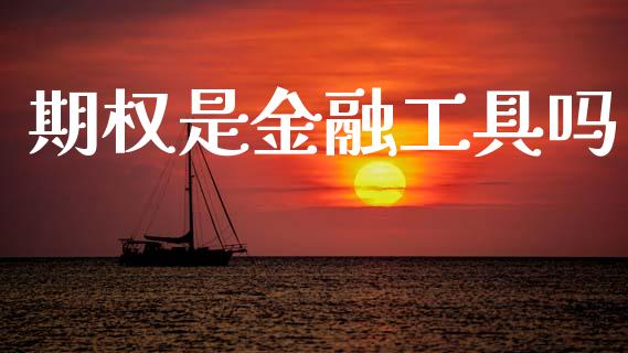 期权是金融工具吗_https://www.qdlswl.com_期货_第1张