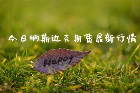 今日纳斯达克期货最新行情_https://www.qdlswl.com_股指_第1张