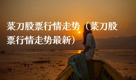 菜刀股票行情走势（菜刀股票行情走势最新）_https://www.qdlswl.com_外盘_第1张