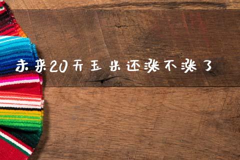 未来20天玉米还涨不涨了_https://www.qdlswl.com_股指_第1张