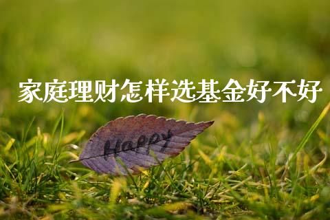家庭理财怎样选基金好不好_https://www.qdlswl.com_理财_第1张