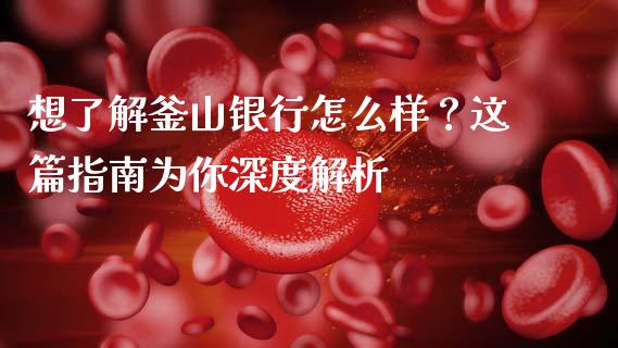 想了解釜山银行怎么样？这篇指南为你深度解析_https://www.qdlswl.com_股票_第1张