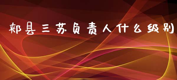 郏县三苏负责人什么级别_https://www.qdlswl.com_期货_第1张