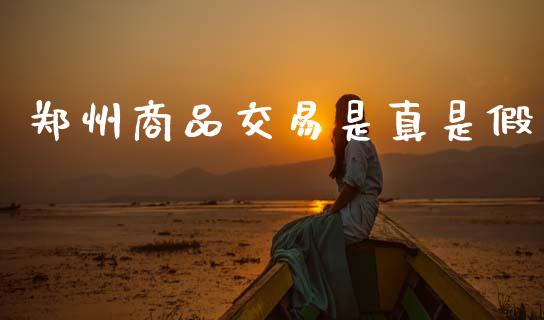 郑州商品交易是真是假_https://www.qdlswl.com_期货_第1张